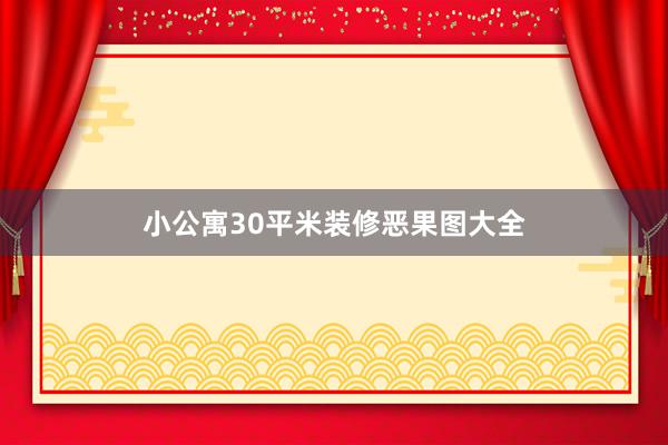 小公寓30平米装修恶果图大全