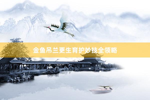 金鱼吊兰更生育护妙技全领略