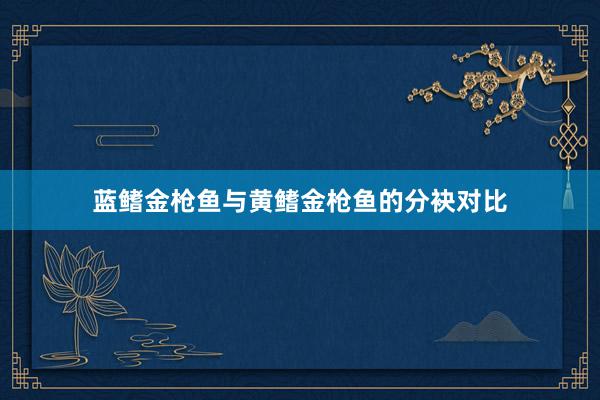 蓝鳍金枪鱼与黄鳍金枪鱼的分袂对比