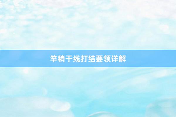 竿稍干线打结要领详解